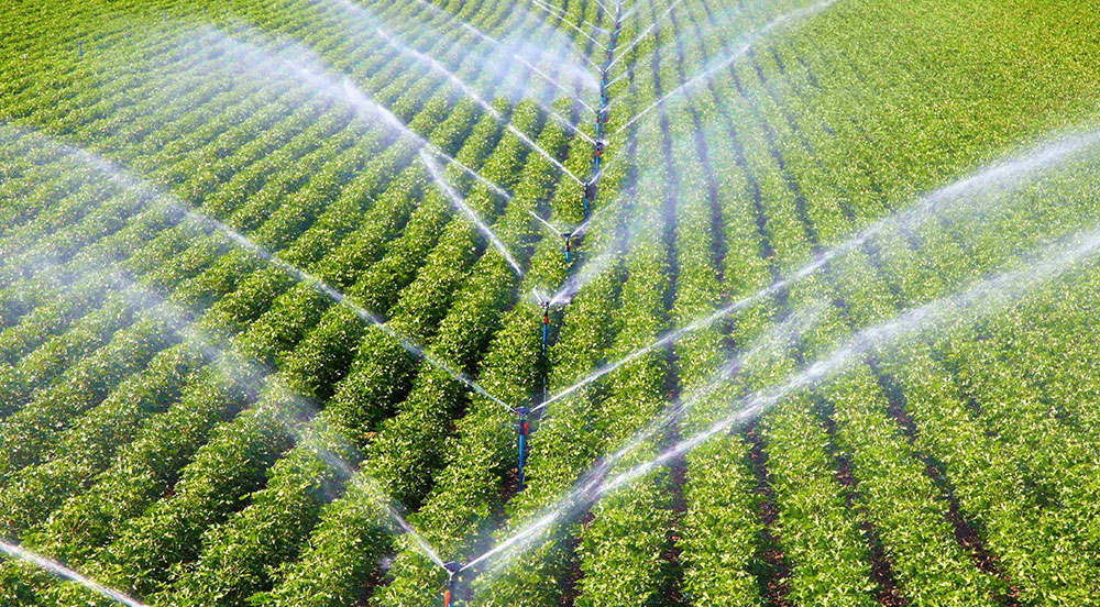 Sprinkler Irrigation Systems